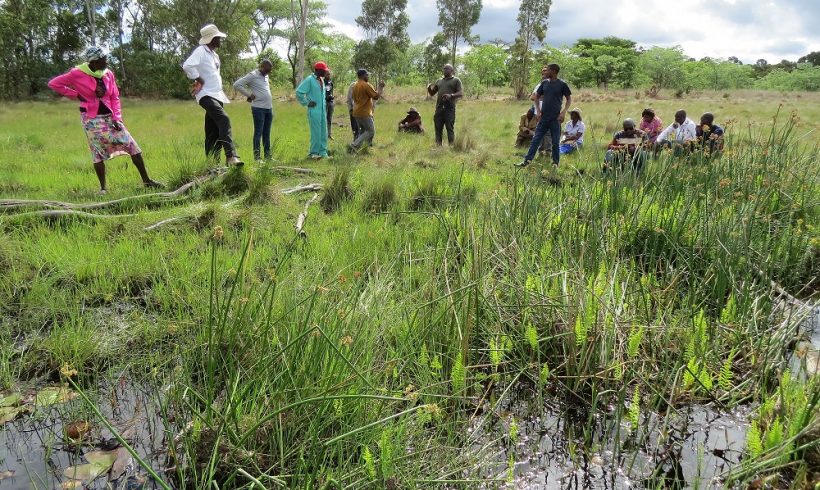 The WeMAST consortium engages with the local Chirumhanzu community at the Driefontein RAMSAR wetland The WeMAST consortium engages with the local Chirumhanzu community at the Driefontein RAMSAR wetland